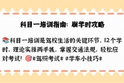 驾驶员在线理论培训刷课(驾驶员在线理论必须刷够吗)