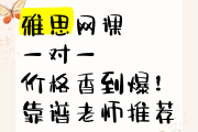 雅思视频刷网课有用吗(雅思网课有必要买最新的吗)
