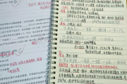 u慕课刷题(umooc刷课)